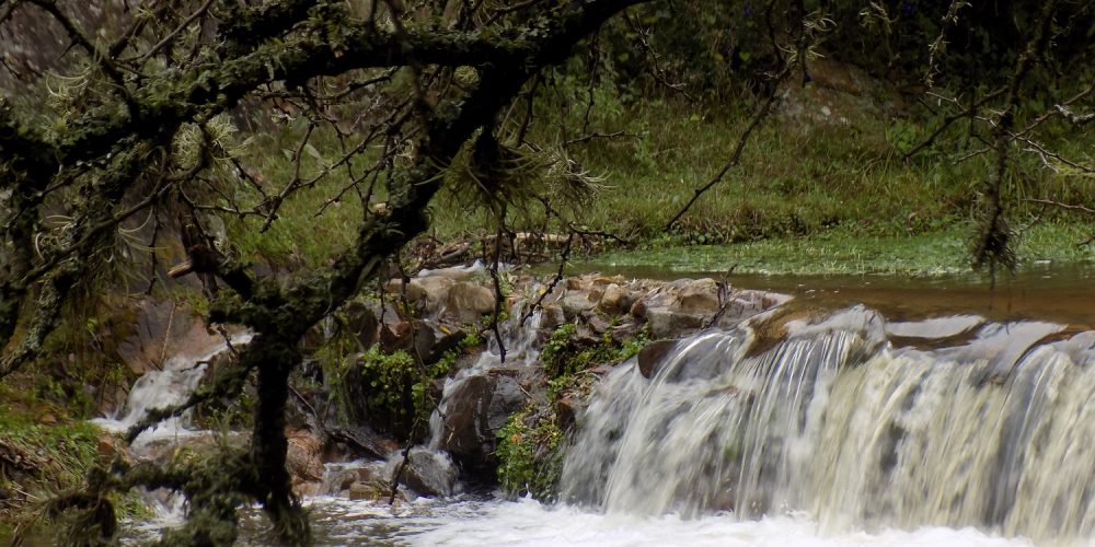 Arroyo La Estancita