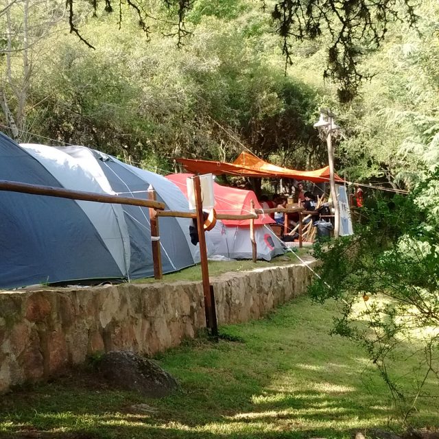 ZONA DE CARPAS