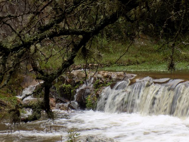 Arroyo La Estancita