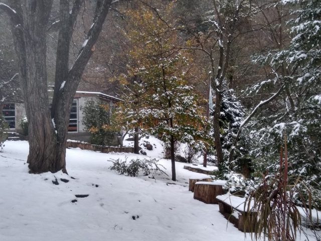 Invierno y nieve en el Campamento la Estancita